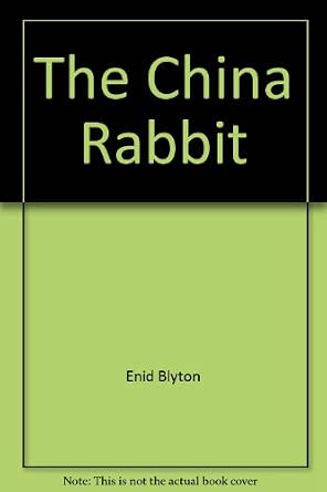 The China Rabbit: Amazon.co.uk: 9781858136721: Books