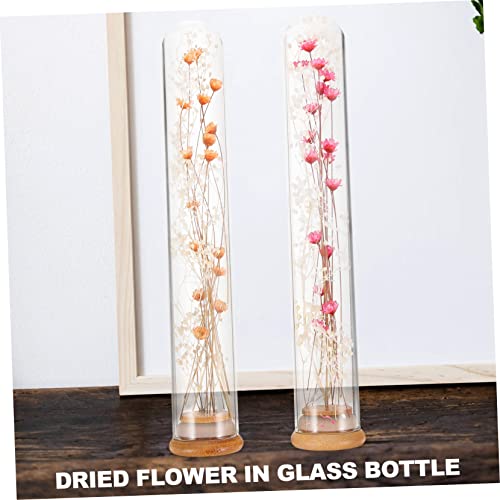 Flores Secas en Jarrón de Vidrio para Decoración miniatura 6