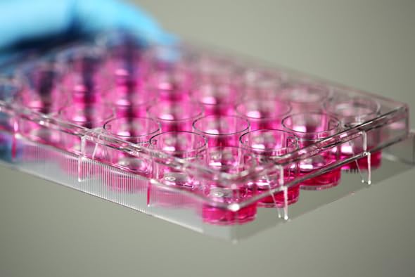 701001 96 Well Cell Culture Plate, Flat, TC, sterile 1/pk, 100/cs