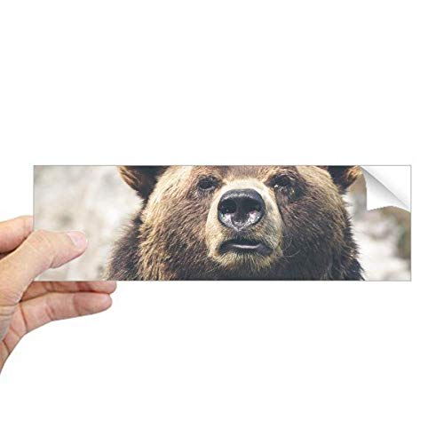 Vinilo rectangular de oso salvaje DIYthinker con acabado duradero para exterior 2