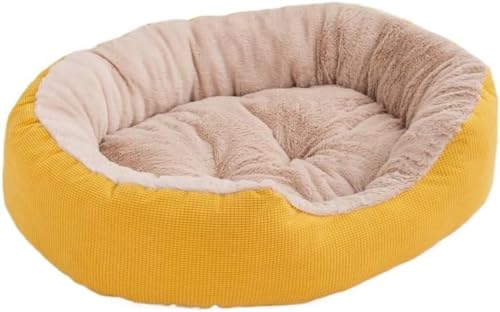 WNRJ L xbh  xbh ӂӂ ybgxbh NbV ybg\t@[ g ~ ʋC ΍ ې I[V[Y \t@[ ɂ lGʗp ʐ݌v (CG[,XL)