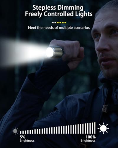 Image of Philips Torch Light, 9W 2000mAh Handheld Flashlight Rechargeable and Stepless Dimming, 650 Lumens, 5 Lighting Mode, 450M Coverage, Portable Led Torch Light for Home, Camping, Hiking, Emergency