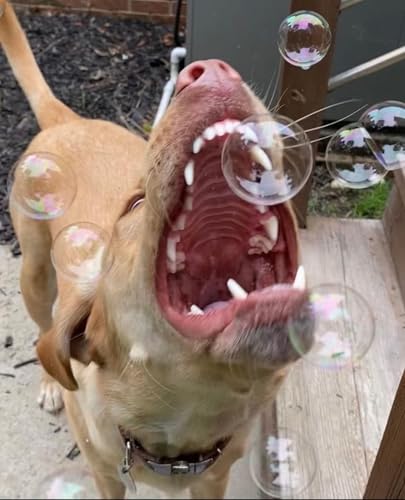 Bubbletastic Peanut Butter Scented Dog Bubbles 8 Ounce Bottle, Non Toxic, Tear Free Bubbletastic Peanut Butter Scented Dog Bubbles 8 Ounce Bottle, Non Toxic, Tear Free