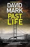 Cover zum Buch Past Life