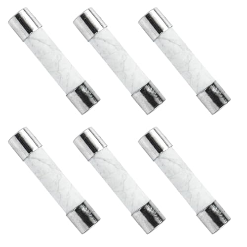 Fuses Replacements for Generac Replaces for 10000005117 6.3A 250VAC 5MMX20MM 6.3 AMP (6-Pack)