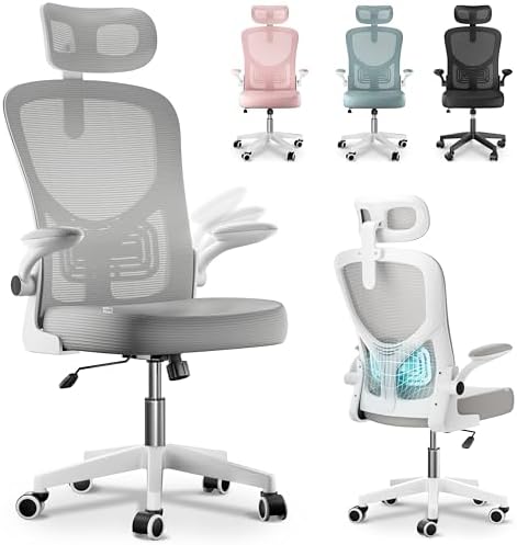 JUPPLIES Silla Escritorio Ergonómica con Soporte Lumbar, Reclinab...