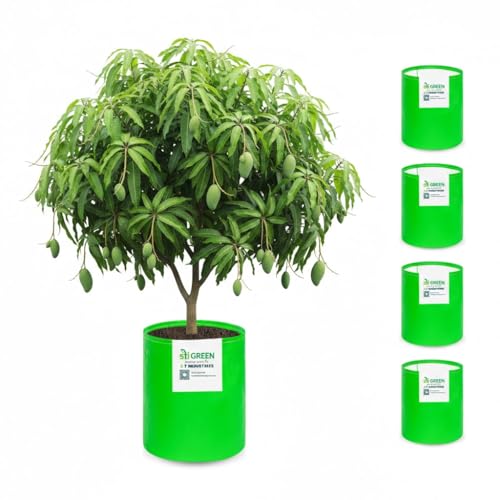 Image of HDPE Grow Bags for Plants 24X36 Inch (Pack of 5) | 260 GSM Heavy Duty UV-Protected Round Green Colour Plant Bags for Terrace and Vegetable Gardening | Strong & Reusable|