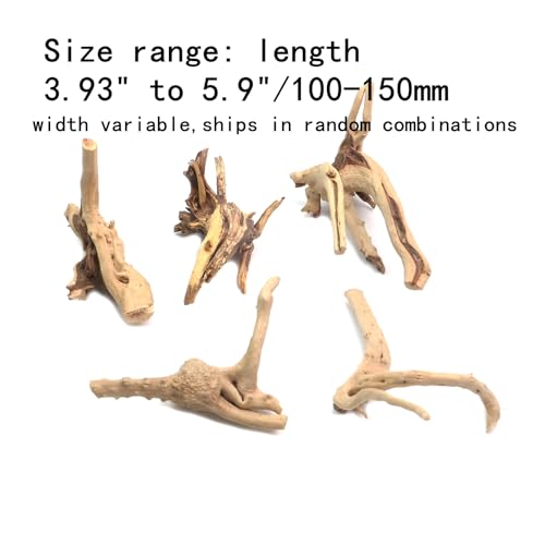 Image of 5Pcs Natural Cuckoo Wood for Aquarium, Aquarium Decor Wood Freshwater Fish Tank Reptile Driftwood Branch Length 3.93 inch to 5.9 inch