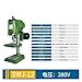 CAARLA Manual Tapping Machine Threading Machine Industrial High-Power Electric Desktop Pistol-Grip Drills(SWJ-12)