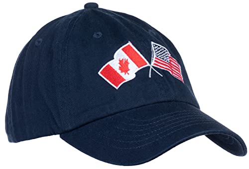 Image of Ann Arbor T-shirt Co. American Friendship Nations Flag Baseball Low Profile Dad Hat for Men Women