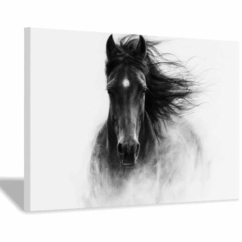 Tableau toile cheval noir et blanc XENIOU cadre 20x30