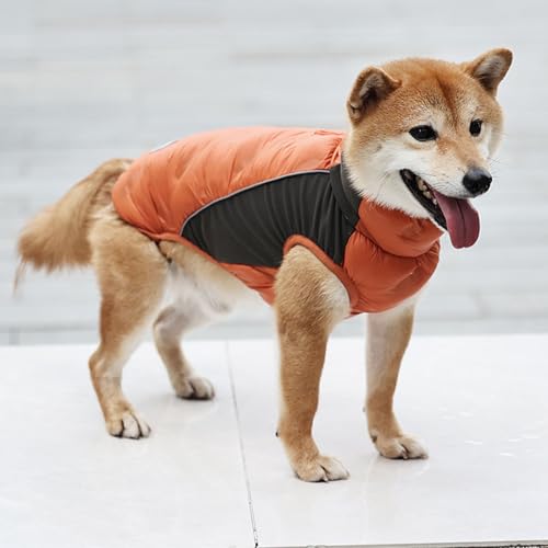 Abrigo de invierno para perro pequeño ropa impermeable transpirable de clima frío 4