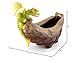 Top Collection Rex The Green Dragon - Mini Collectible Fantasy Figurine Planter (Perched on Planter)