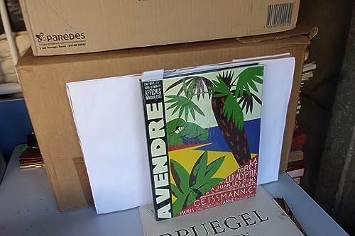 A vendre: Affiches immobilie`res (French Edition) [French] 2950369812 Book Cover