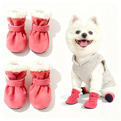 y4Zbg ۉn Cz~p h u[c C ی EUp }WbNe[v Eɂ ^Ή uE (sN, L)