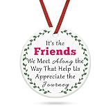 Best Friends Christmas Ornament Gifts for Women Besties Sister Friendship Keepsake for BFF Female Bi
