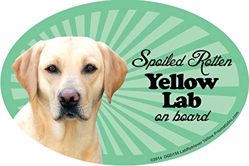 Prismatix Decal Lab Retriever (Yellow) Car Magnets: Spoiled Rotten Lab Retriever (Yellow) - Oval 6" x 4" Auto/Truck/Refrigerator/Mailbox (Funny Car Decals, Dog Magnet, Lab Retriever (Yellow)