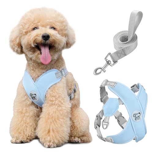 Pawaboo Set di pettorina e guinzaglio per cani di piccola taglia, con struttura a X, anti-tiro, anti-soffocamento, regolabile per cani di taglia piccola e media, morbida pettorina traspirante per