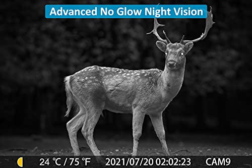 Meidase P90 Trail Camera, Wifi Bluetooth, 32Mp 1296P, Wide 120° View Angle, H.264 Hd Video, Game Cameras With Night Vision Motion Activated Waterproof, Cell Phone App #TOP4