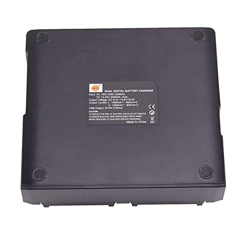 Panne de batterie Lumix ? Chargeur double DMW-BLC12 pour Panasonic