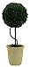 Admired By Nature Faux Preserved Artificial Boxwood Ball Topiary Plant Tabletop in Pot, 13.5