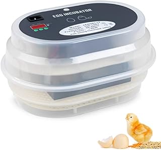 HBlife Digital Egg Incubator for Hatching 9-12 Chicken, Quail and Duck Eggs, with Fully Automatic Egg Turning and Temperature Display, Hatcher for Turkeys, Birds, Parrots and Poultry