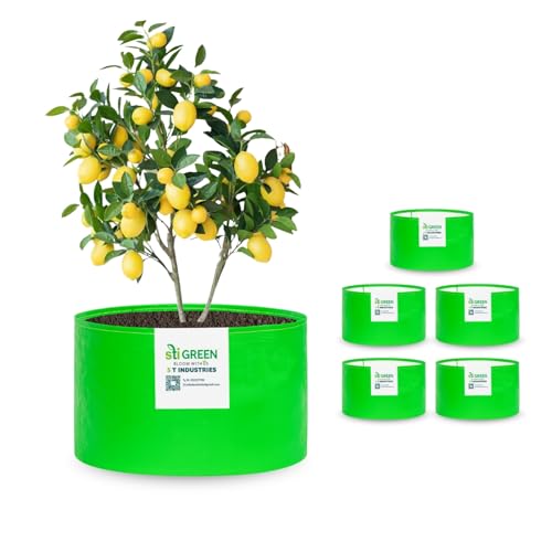 Image of HDPE Grow Bags for Plants 12X12 Inch (Pack of 6) | 260 GSM Heavy Duty UV-Protected Round Green Colour Plant Bags for Terrace and Vegetable Gardening | Strong & Reusable|