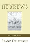 Commentary on the Epistle to the Hebrews, Volume 1
