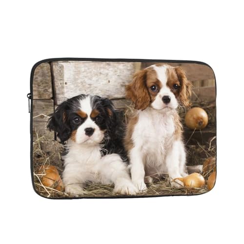 Ή LoA LO `[Y XpjG̏Ȏq 13 Inch PcP[X Pc[Jo m[gpc P[X rWlX 