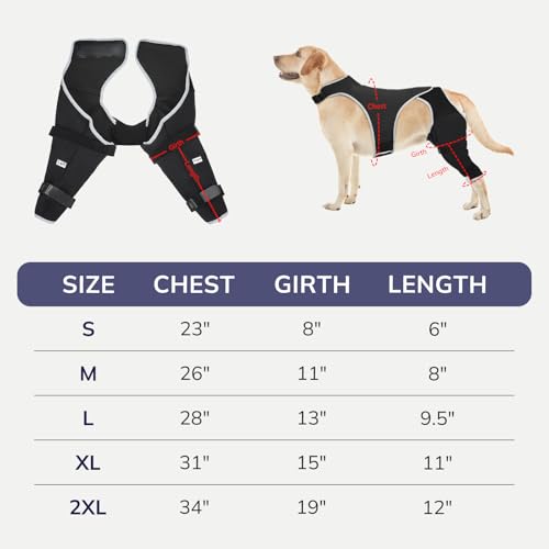 Image of Dog Knee Brace