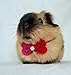Crochet Heart Bows and Bowties for Guinea Pigs, Bunnies, Gerbils, Hamsters, Chinchillas, & Other Small Pets (Heart Bow)