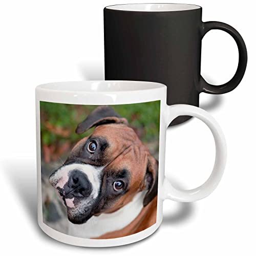 3dRose Cute boxer dog portrait canine 11oz Magic Transforming Mug