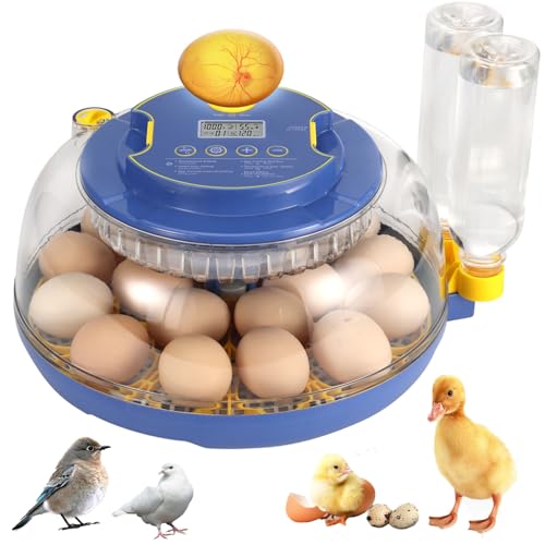جوجه کشی مرغوب، جوجه کشی خودکار تخم مرغ، جوجه کشی 18 تخم مرغ با کنترل دمای خودکار و پنجره 360 درجه واضح برای جوجه کشی، مرغ، اردک، غاز، بلدرچین، تخم پرنده (آبی)