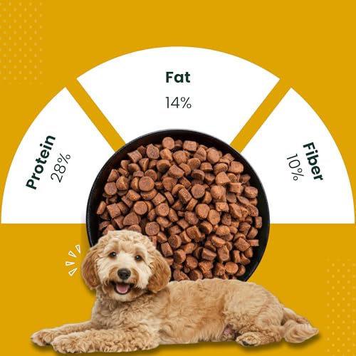 Image of Plant Based Vegan Dog Food for Puppies | Dry Puppy Food with High Protein & Fibre | Supports Gut Health, Digestion & Complete Nutrition (Puppy Food 2kg)