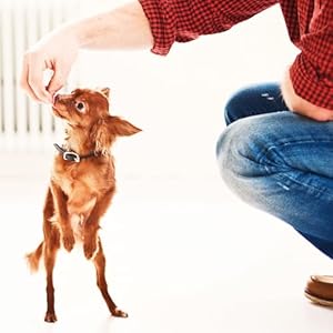 Fruitablesbakeddogtreatspumpkinbananaflavor7oz Urban Country Home Decor Fruitables baked dog treats pumpkin banana flavor 7 oz urban country home decor