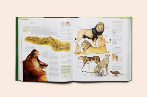 Image of The Encyclopedia of Animals: A Complete Visual Guide