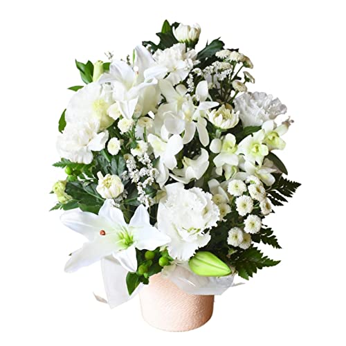 [veB }[Ch]   AWg     Ȃ   ފ ~    zCgn  AWg 1 -摜zMT[rXt(12/22-1/9͔zMs)-