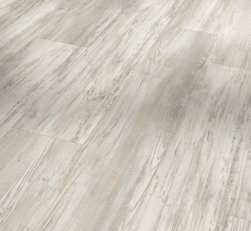 Parador Designboden Vinyl Basic 5.3 Pinie skandinavisch weiß Gebürstete Struktur Landhausdiele 4-seitige Fase