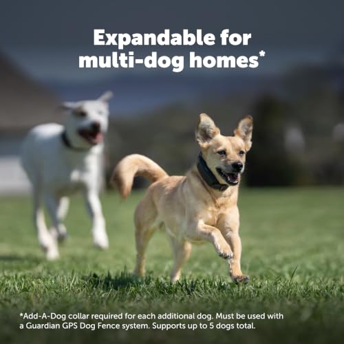 PetSafe Guardian GPS Dog Fence No Subscription Create Your Own Wireless Dog Fence Single-Yard Fence for Yards 3/4 Acres or Larger World's Safest GPS Dog Fence Tech New, Redesigned Collar by PetSafe - Image 9
