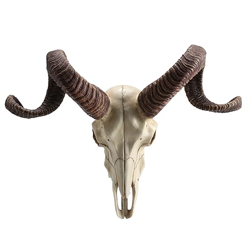 Escultura de pared de cuerno de carnero Corsican 27 cm miniatura 2