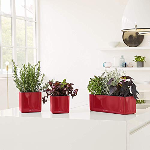 LECHUZA CUBE 13670 Glossy Triple, wit, gelakt oppervlak, hoogwaardige kunststof, borduurbewateringssysteem, voor binnen… - Image 6