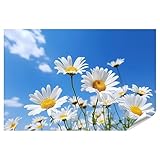 Unser Poster wird in der Größe 90x60cm geliefert, und wir empfehlen, das Paket vorsichtig am oberen Ende zu öffnen, um Beschädigungen zu vermeiden. Der Digitaldruck erfolgt mit umweltfreundlichen Tinten ohne Lösemittel. Bitte verwenden Sie keinen Tapetenkleister, um die Qualität des Drucks zu bewahren.