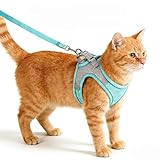 YINANLIN Harnais Chat Réfléchissant Gilet Harnais pour Petit Chat pour Randonnée Trajet Voiture, Harnais en Maille Douce Respirante et Durable, Vert, S