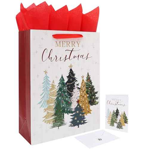 16.5C` NX}XMtgobOZbg nht O[eBOJ[h ԂeBbVy[p[ƃXebJ[ Mtg  zf[a NX}Xp[eB[ c[fUC 1