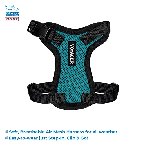 Image of Best Pet Supplies Voyager Step-in Lock Pet Harness w Reflective Pet Leash Combo Set with Neoprene Handle 5ft - Supports Small, Medium and Large Breed Puppies /Cats - Turquoise /Black Trim, XXXS
