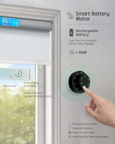 Smart Curtain Motor with Remote