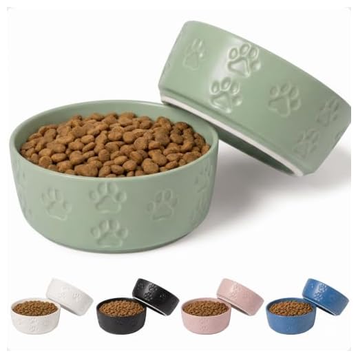 Ceramic Dog Bowl Set of 2 with Anti-Skid Base, 5.5"W x 2"H, 2 Cup Capacity