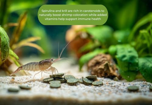 MorexLab Shrimp Food 9.87 oz - 280 gr – High Protein Discs with Spirulina, Probiotics, and Calcium for Neocaridina, Caridina, Crystal Shrimp & Aquatic Invertebrates – Molting Support — view 2