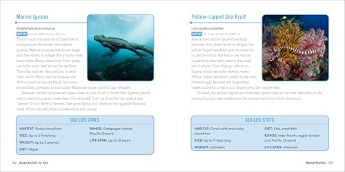 Callisto Kids Hestermann, Bethanie Ocean Animals For Kids: A Junior Scientist'S Guide To Whales thumb #5
