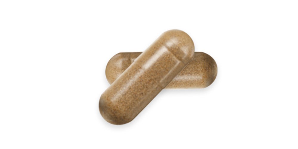 ASLAN Mental (3x 30 Kapseln) Nahrungsergänzung mit Rhodiola Rosea- und Melissen-Extrakt, Vitaminen und Mineralien für geistige Leistungsfähigkeit und Konzentration